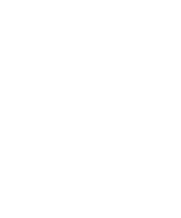 SIEMCI Logo